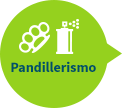 Pandillerismo